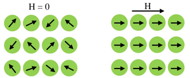 Gambar 2.2. Arah domain magnetik pada material paramagnetik sebelum dan  sesudah diberi medan magnet eksternal 
