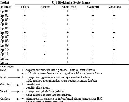 Tabel 4.1.2 Hasil Uji Biokimia Isolat Bakteri Penghasil Biosurfaktan yang   Diperoleh dari Laut Belawan Sumatera Utara   