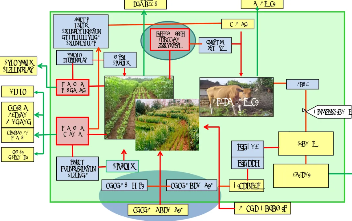 Diagram Alir Model pertanian Ramah Lingkungan LKM (+ternak)PUPUK HAYATI