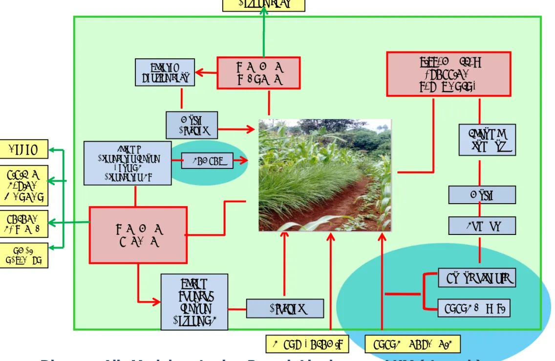 Diagram Alir Model pertanian Ramah Lingkungan LKM (-ternak)