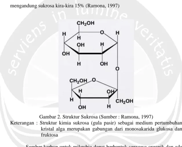 Gambar 2. Struktur Sukrosa (Sumber : Ramona, 1997) 