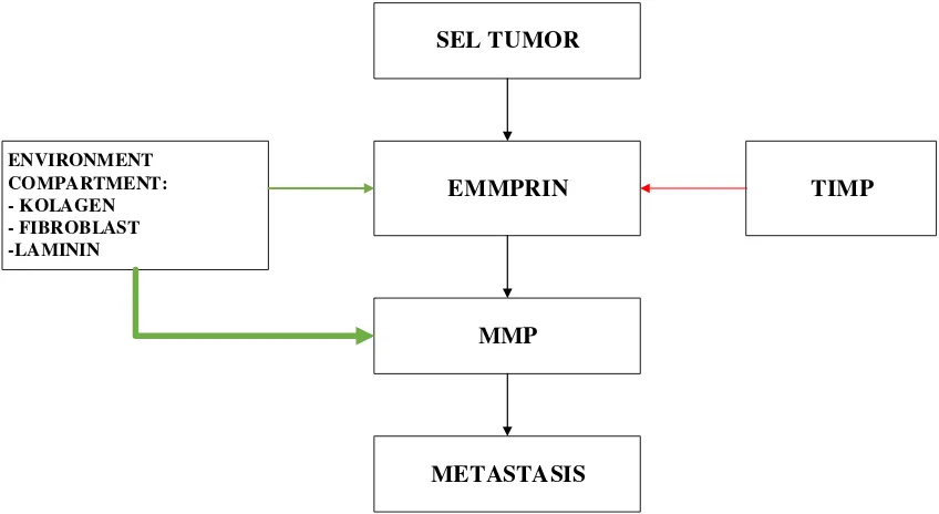 Gambar 3 Mekanisme EMMPRIN dengan Environment Compartment36 