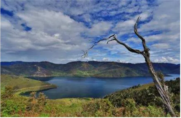 Gambar 3. Danau Anggi Giji (http://www.panoramio.com)