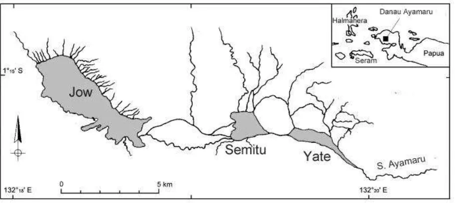 Gambar  1. Danau Ayamaru terdiri dari serangkaian danau yakni Danau Jow,Danau Semitu dan Danau Yate.