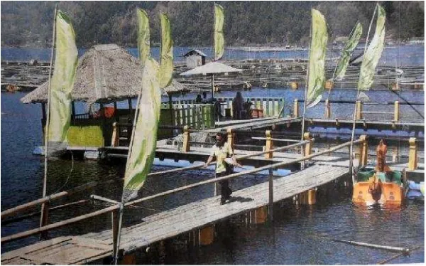 Gambar 4. Kondisi Dmassal ikan dalasi Danau Batur di wilayah Seked pasca terjadinyadalam karamba bulan Juli 2015 (http://balipost.cnya kematianpost.com)