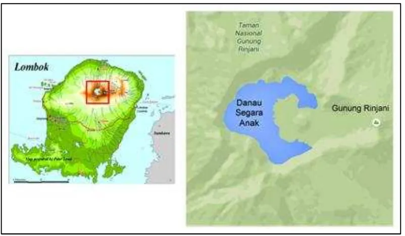 Gambar 2. Panorama Danau Segara Anak Rinjani dengan kerucut Gunung Barujari.