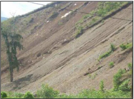 Gambar 10 . Erosi di le di lereng perbukitanmenimbulkan masalah sediSentani.sedimentasi di Danauni.