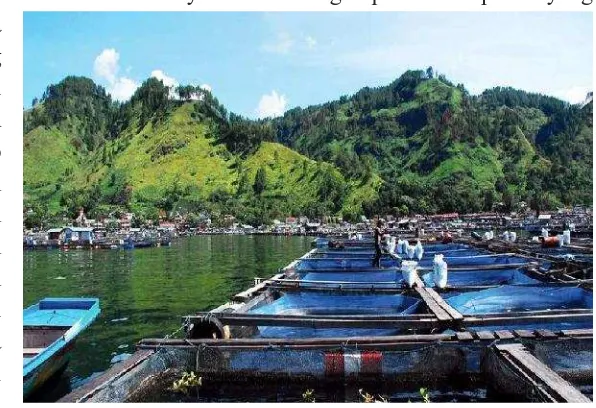 Gambar 3. Karamba Jaring Apung (KJA) di DanauSingkarak (archive.kaskus.co.id/)