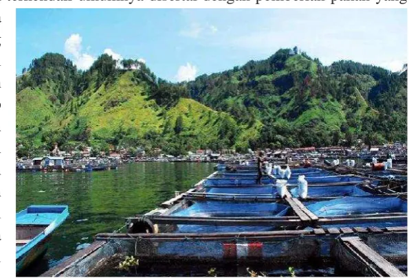 Gambar 3. Karamba Jaring Apung (KJA) di DanauSingkarak (archive.kaskus.co.id/)