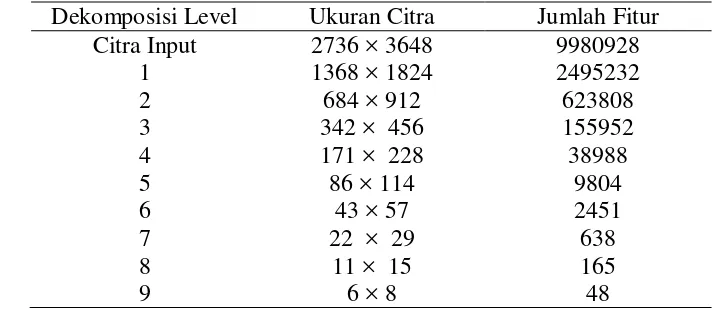 Tabel 4 Hasil dekomposisi Wavelet Haar dan jumlah fitur VFI 5 