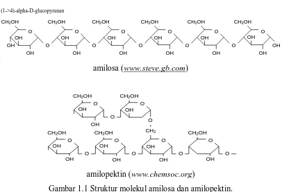 Gambar 1.1 Struktur molekul amilosa dan amilopektin. 
