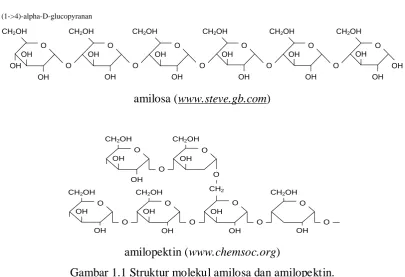 Gambar 1.1 Struktur molekul amilosa dan amilopektin. 