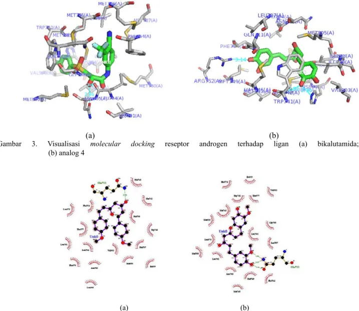 Gambar 3. Visualisasi molecular docking reseptor androgen terhadap ligan  (a) bikalutamida;  (b) analog 4