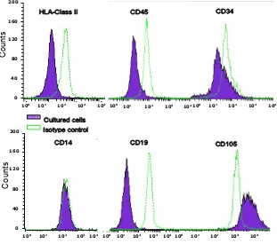 Figure 6. Flowcytometry analysis of molecules expression on MSC from lipoaspirate. Flowcytometry assay showed the cultured cells were consistent with the characteristic of MSCs, i.e