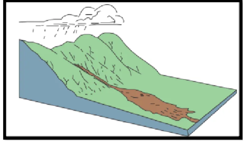 Gambar 1.7 Longsor Tipe Aliran Debris (Sumber: Cruden dan Varnes, 1996)  b.  Aliran Tanah (Earth Flow)  