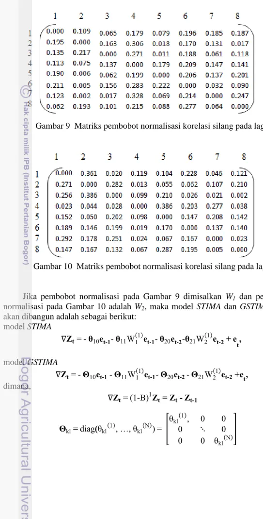 Gambar 10  Matriks pembobot normalisasi korelasi silang pada lag 2 