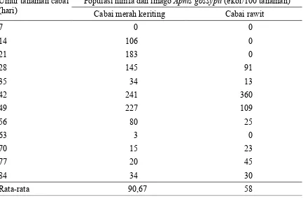 Tabel 1. Perkembangan populasi nimfa dan imago  Aphis gossypii  pada tanaman cabai merah keriting dan cabai rawit