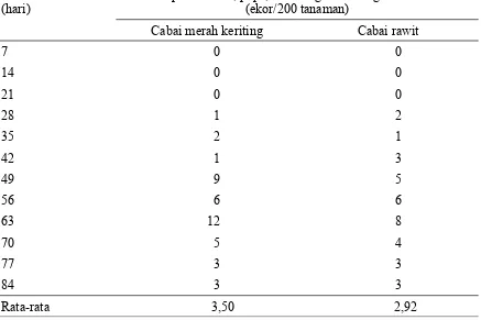Tabel 2. Kelimpahan kumbang Coccinellidae, kumbang predator  Aphis gossypii  pada tanaman cabai merah keriting dan cabai rawit