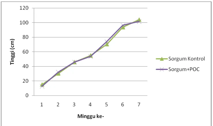 Gambar 1.  Grafik Tinggi Tanaman Akibat Pemberian Pupuk Organik Cair pada Tanaman Sorghum 