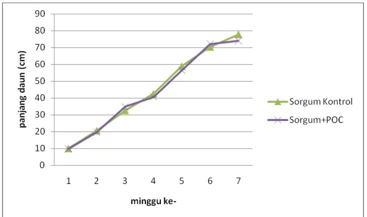 Tabel 5.  Pengaruh pemberian pupuk organic cair pada daun tanaman sorgum terhadap  serapan N, % N-15, Kontribusi POC, N-berasal dari pupuk POC dan N-berasal dari tanah