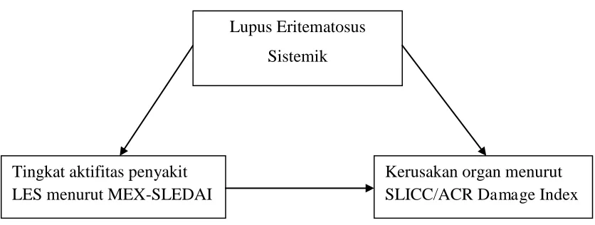 Gambar 2. Kerangka konsep 