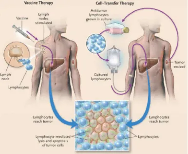 Figure 2. Two approach in immunotherapy.1 