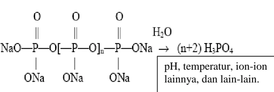 Gambar 4. Reaksi hidrolisis polifosfat (Gill, 1999). 