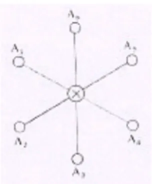 Gambar 4. Jaringan Jenis Bintang