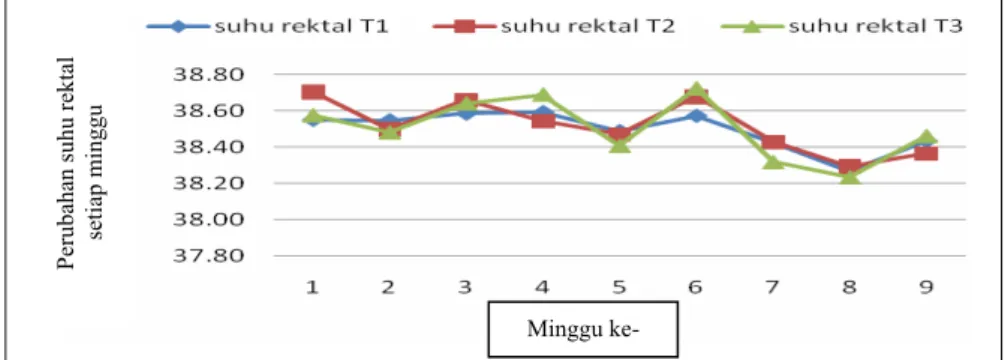 Gambar 1. Respons fisiologis tubuh sapi Jawa (suhu rektal) akibat pemberian pakan dengan 