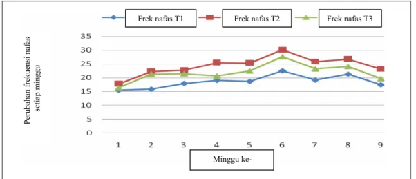 Gambar 3. Respons fisiologis tubuh sapi Jawa (frekuensi nafas) akibat pemberian pakan dengan 