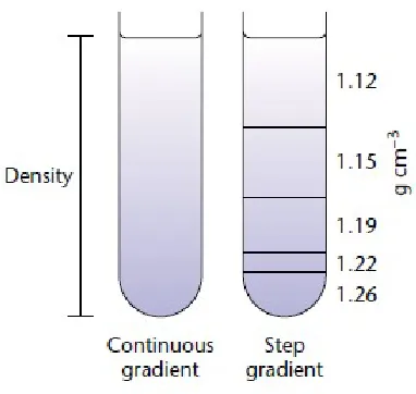 Gambar 2