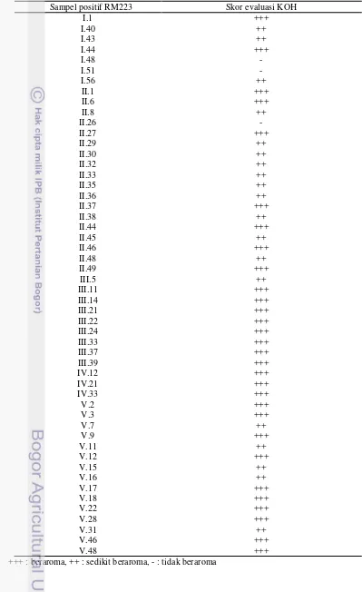 Tabel 4 Hasil uji aroma seluruh sampel BC5F2 yang mengandung gen aroma 