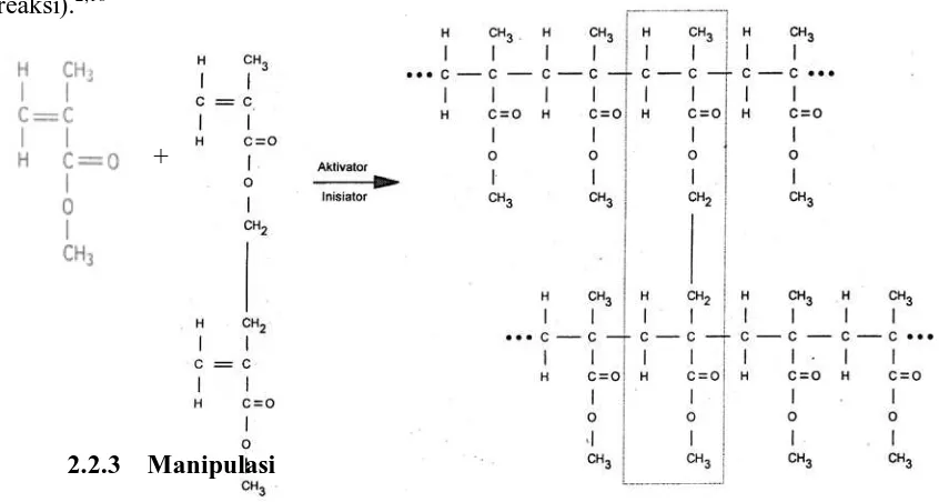 Gambar 2. Reaksi polimerisasi resin akrilik polimerisasi panas 