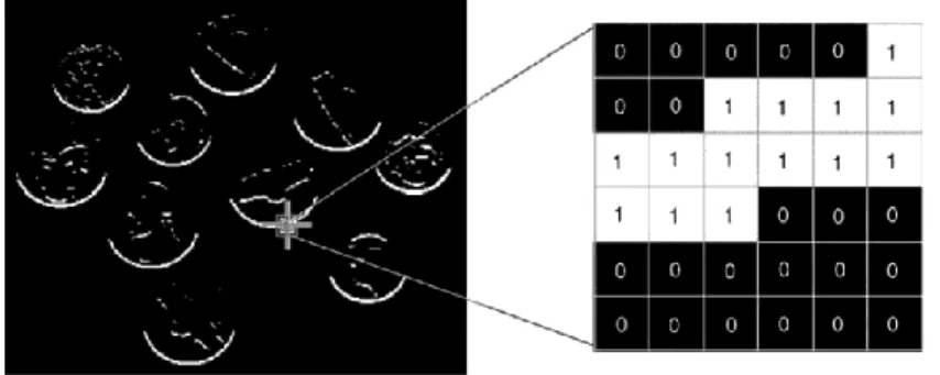 Gambar 2.2 Sebuah citra biner dengan nilai-nilai piksel di dalam sebuah region 6 × 6 