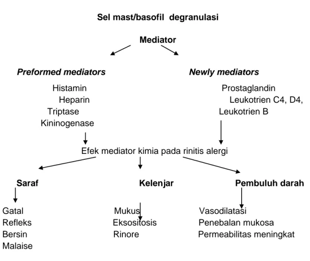 Diagram 1.2 Skema Patogenesis  Reaksi Alergi pada RA  (Kolegium Ilmu Kesehatan THT-KL, 2008) 