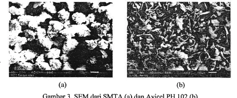 Gambar 3. SEM dari SMTA (a) dan Avicel PH 102 (b) 