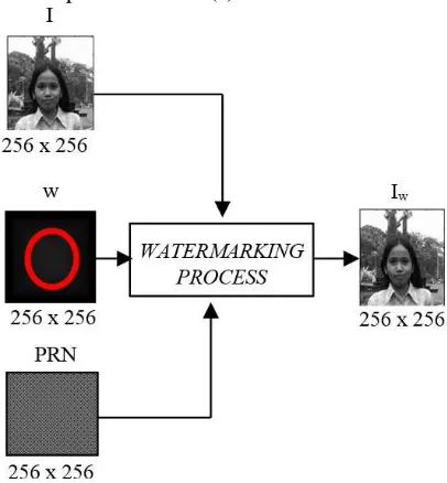 Gambar 5.(a) Proses Watermarking 