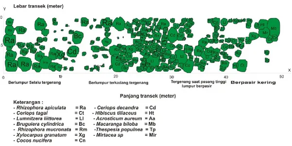Diagram  profil  vegetasi  vertikal  (gambar.  5)  menunjukkan  adanya  ruang-ruang  kosong diantara kanopi