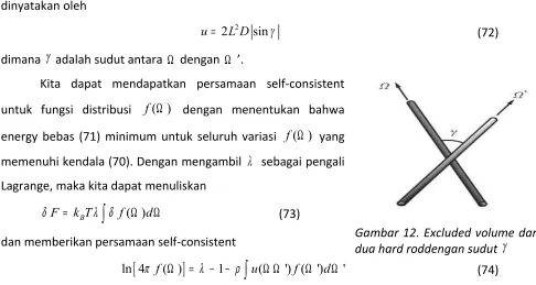 Gambar 12. Excluded volume dari γ