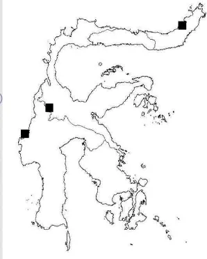 Figure 18 Distribution map of M. celebica in Sulawesi 