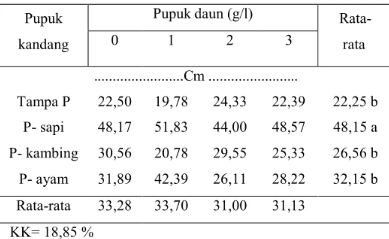 Tabel 1.  Pengaruh pupuk kandang dan kosentrasi                        pupuk daun terhadap tinggi Tanaman  Pupuk 