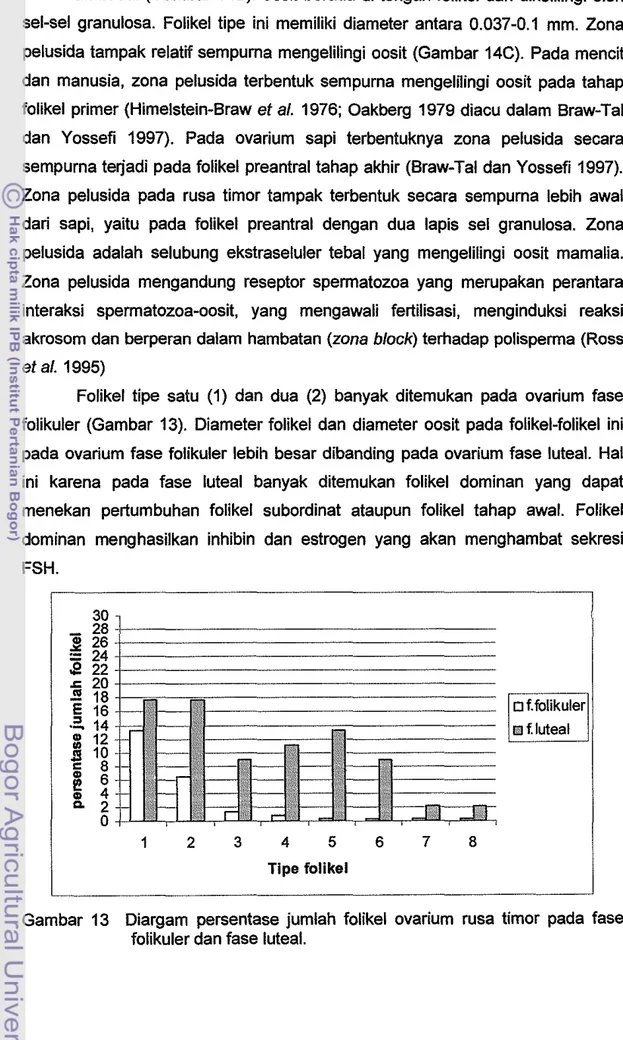 Gambar  13  Diargam  persentase  jumlah  folikel  ovarium  rusa  timor  pada  fase  folikuler dan fase luteal