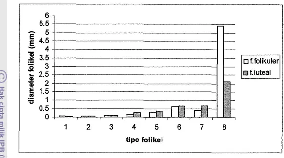 Gambar 18  Diagram  diameter folikel  ovarium  rusa  timor pada fase folikuler dan  fase luteal