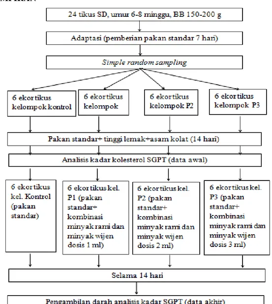 Gambar 1. Alur kerja