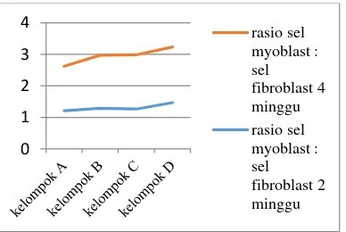 Gambar 5. Grafik perbandingan rata-rata rasio sel myoblast dan sel fibroblast pada kelompok minggu kedua 