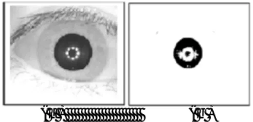 Gambar 2:Pusat Pupil, (a) Citra Iris Mata Asli,  (b) Citra Biner