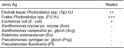 Tabel 1. Deteksi HJ ekstrak kasar, fraksi, dan Ag bakteri lain dengan PAb Photorhabdus spp