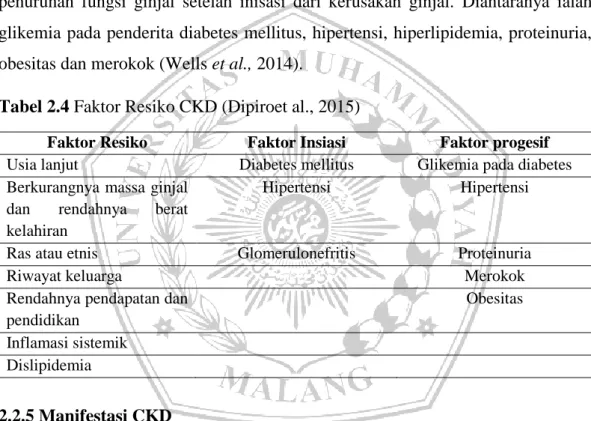 Tabel 2.4 Faktor Resiko CKD (Dipiroet al., 2015) 
