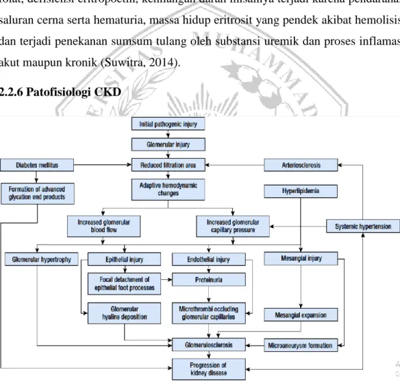 Gambar 2.3 Patofisiologi CKD (Dipiro et al., 2015). 