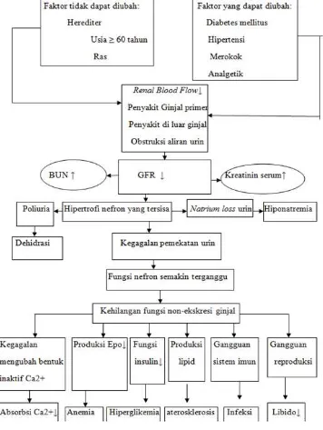 Gambar 2.1 Patogenesis Penyakit Ginjal Kronik. (Dikutip dari : Gray, 2006)